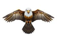 Laptony Bird Control Telescopic Bird Scarer Kite Bird Repeller Kite for Garden Backyard Lawn Farm and Field only Kite (Brown-No Pole)