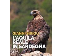 L'aquila reale in Sardegna