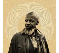 Laraaji Sun Transformations (Vinyl LP)