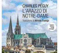 L'arazzo di Notre-Dame. Viaggio a Chartres in 100 immagini. Ediz. illustrata