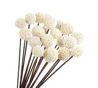 Larber 15 pezzi di Fiori Secchi Naturali Craspedia Billy Balls Bouquet di Fiori Secchi Naturali Craspedia Billy Ball Bouquet di Fiori Secchi Naturali per Composizioni Floreali in Vaso e Tavoli Nuziali