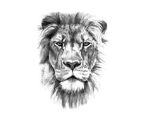 Large Lion Wolf Temporary Tattoo For Men Women Adult Tattoos Sticker Fake Tatoos 48 * 17cm(001)
