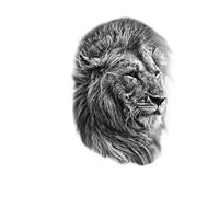 Large Lion Wolf Temporary Tattoo For Men Women Adult Tattoos Sticker Fake Tatoos 48 * 17cm(002)
