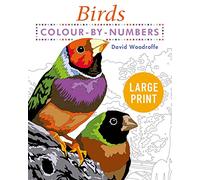 Large Print Colour by Numbers Birds: Easy-to-Read