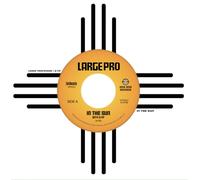 Large Professor - In the Sun [VINYL]
