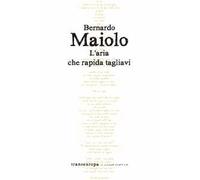L'aria che rapida tagliavi