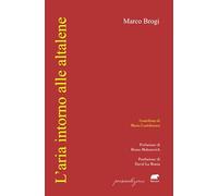L'aria intorno alle altalene - Brogi Marco
