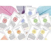 Laritelle Set per capelli biologici ✿ Shampoo and Conditioner Sample Pack 10 x 1 oz