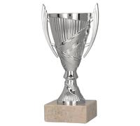 Larius Sieger Pokal - Trofeo da Calcio Regalo con Testo Personalizzato (Argento, senza testo personalizzato)