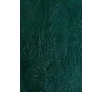 LARP Journal: A Character & Adventure Log for Live Action Roleplaying