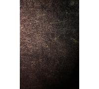 LARP Journal: A Character & Adventure Log for Live Action Roleplaying