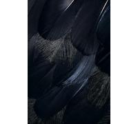 LARP Journal: A Character & Adventure Log for Live Action Roleplaying