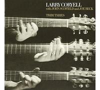 Larry Coryell John Scofield Joe Beck Jazz/Fusion Guitar NUOVO CD Tributaries