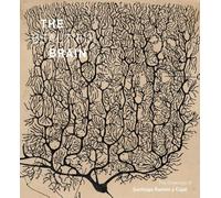 Larry Swanson Eric Newman Alfonso Araque The Beautiful Brain (Copertina rigida)