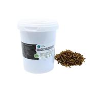 Larva Black Soldier Fly Piante Acquario 500 ml, Cibo a base di insetti 100% naturale per pesci, pollame e rettili Ricco di proteine e vitamine