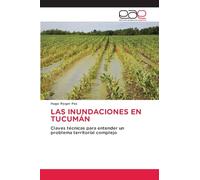 LAS INUNDACIONES EN TUCUMÁN: Claves técnicas para entender un problema territorial complejo