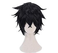 L'ascesa dell'eroe dello scudo NAOFUMI Iwatani Black Short Parrucca resistente al calore Cosplay capelli parrucche + cappuccio gratuito