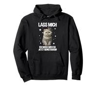 Lasciate che Io Devo Me Da Ora Reinalzare Gatto Divertente Felpa con Cappuccio
