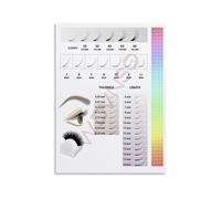 Lash Technician Guide Poster Eyelash Extension Styles Chart Canvas Wall Art for Training Home Salon(Framed,16x24inch(40x60cm))