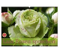 Lass Rosen sprechen (Wandkalender 2026 DIN A2 quer), CALVENDO Monatskalender: 12 bezaubernde Rosenportraits begleiten Sie durch das ganze Jahr