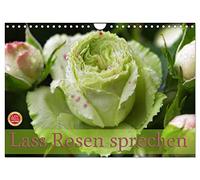 Lass Rosen sprechen (Wandkalender 2026 DIN A4 quer), CALVENDO Monatskalender: 12 bezaubernde Rosenportraits begleiten Sie durch das ganze Jahr