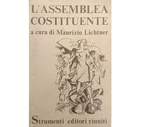 L'ASSEMBLEA COSTITUENTE