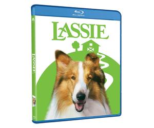 Lassie (Blu-ray) Tom Guiry Helen Slater Jon Tenney Frederic Forrest
