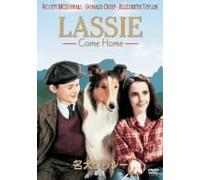 Lassie Come Home [43/E/Dd/S: E,