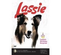 Lassie - Lassie S Birthday Surprise