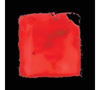 Salvia Palth Last Chance to See (CD) Album