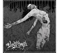 Last Charge - Anima Sola