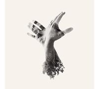 Last Dinosaur - Nothing