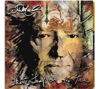 Willie Nelson Last Leaf On the Tree (CD) Album (PRESALE 01/11/2024)