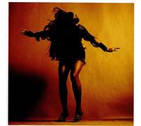 The Last Shadow Puppets Everything You've Come to Expect (CD) Album