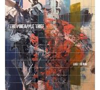 7459044 Audio Cd Pineapple Thief (The) - Last To Run