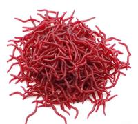 Lastdaytime Esche artificiali per lombrichi per la pesca della spigola, 3,5 cm, in morbido PVC rosso, esche realistiche per pescatori d'acqua dolce e salata, per Carolina Rig (50 pezzi/borsa)