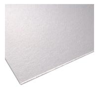 Lastra in vetro sintetico Poliver 50x100 cm sp 5 mm trasparente Trasparente