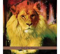 Laswell, Gould - Dub Of The Passover