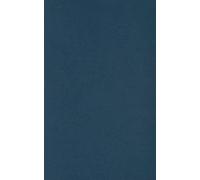 Laszlo Katus The Rise and Fall of the Dual Monarchy 1867 - 19 (Copertina rigida)