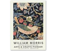 LATAFA Famosi Poster di William Morris Uccello Fragola Wall Art Stampe botaniche William Morris Dipinto su Tela per la Decorazione Domestica Immagini 40x60 cmx1 Senza Cornice