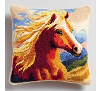 Latch Hook Cuscini Piccoli,Pony Set Di Fodere Per Cuscini,Fai Da Te Creativo, Kit Per Fabbricare Tappeti A Punto Croce,Gancio Di Chiusura Kit Motivo Colore 43X43Cm