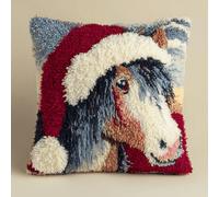 Latch Hook Cuscini Piccoli, Set Di Fodere Per Cuscini,Pony Kit Per Fabbricare Tappeti A Punto Croce,Gancio Di Chiusura Kit Motivo Colore 43X43Cm