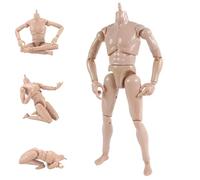 Latebebebe Action Figura da 1/6, Accessori per Bambole da 10, 2 Pollici, Modello di Figura di Disegno Flessibile Senza Testa 1/6 Accessori in Scala