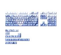 Laterale Stampa Drago Traslucido Keycaps 136Keys Side Stampato Backlit Keycap Set Ergonomico Per Tastiere Meccaniche