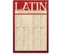 Latin Noun Declensions Chart Poster Grammar Reference for Classical Studies Wall-Art Decor(Unframed,16x24inch(40x60cm))