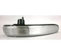 Lato Destro OS Specchietto Laterale Indicatore Trasparente Per Ford Ecosport