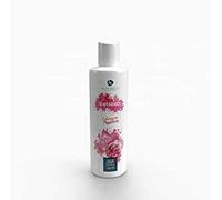 Latte Corpo Echinacea e Passiflora 250ml - Alkemilla