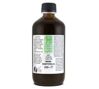 LATTE Corpo ROSA Centifolia Bio IDRATANTE LENITIVO NUTRIENTE Karitè Avocado etc