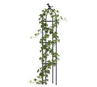 Lattice per piante in vaso - Bastoncini decorativi antiruggine,Bacchette per piante per interni, esterni nel cortile, sul sentiero, terrazzo: clematide, cetrioli, frutta, uva, , rosa