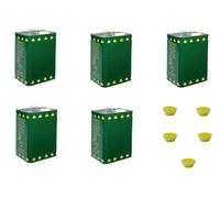 LATTINA LATTA FUSTO IN LATTA DA 5 LT PER OLIO CON TAPPO PER ALIMENTI FER 269001